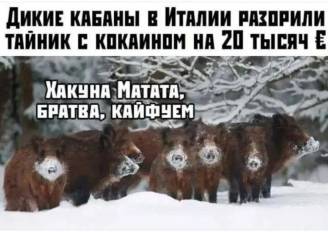 Завалялось тут случайно немного забавных картинок