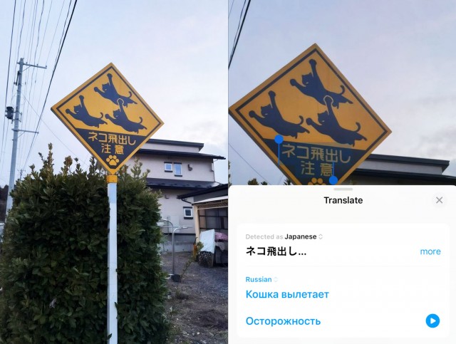 Завалялось тут случайно немного забавных картинок