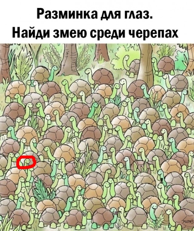Так себе картинки 08.05.25