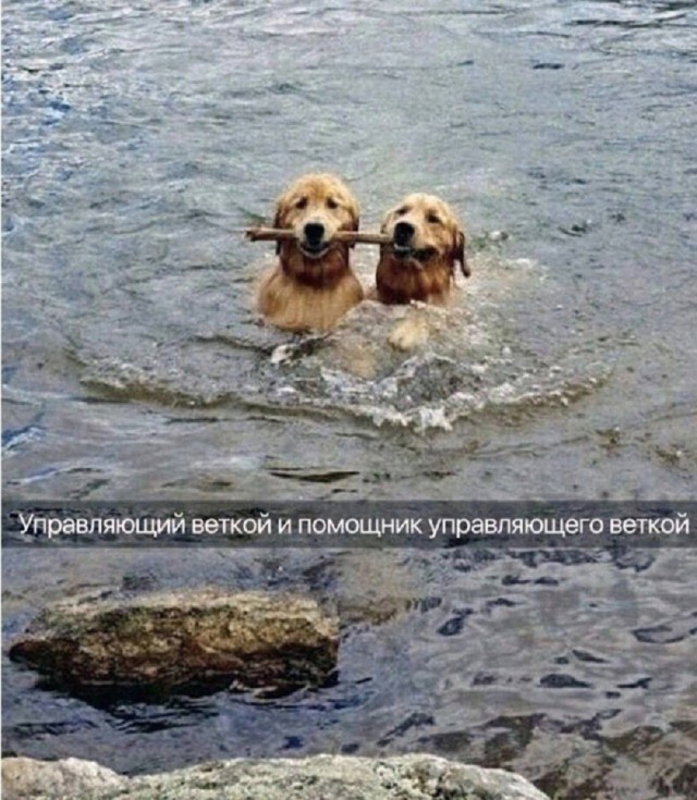 Так себе картинки 30.06.25