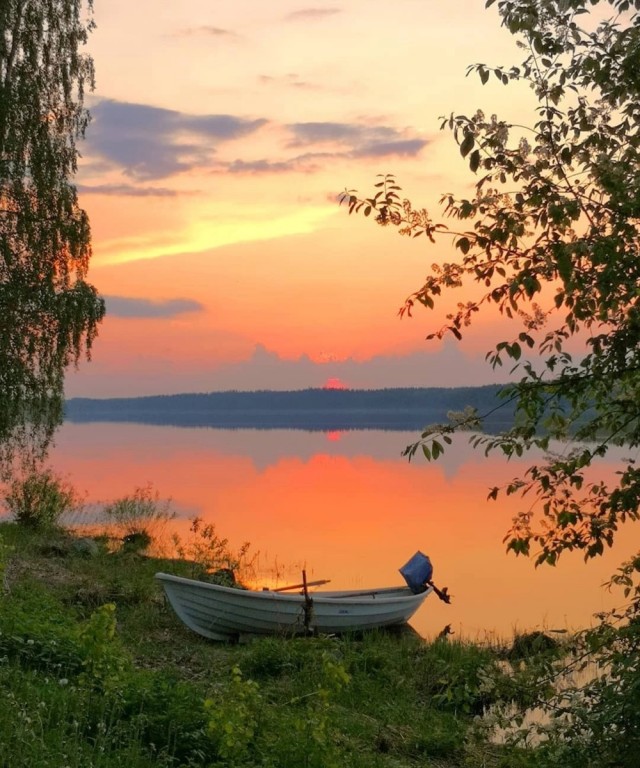 Прикольные и просто красивые картинки