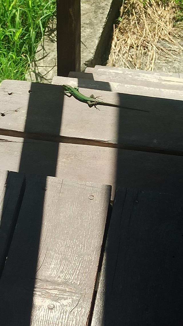 Отдых в Туапсе