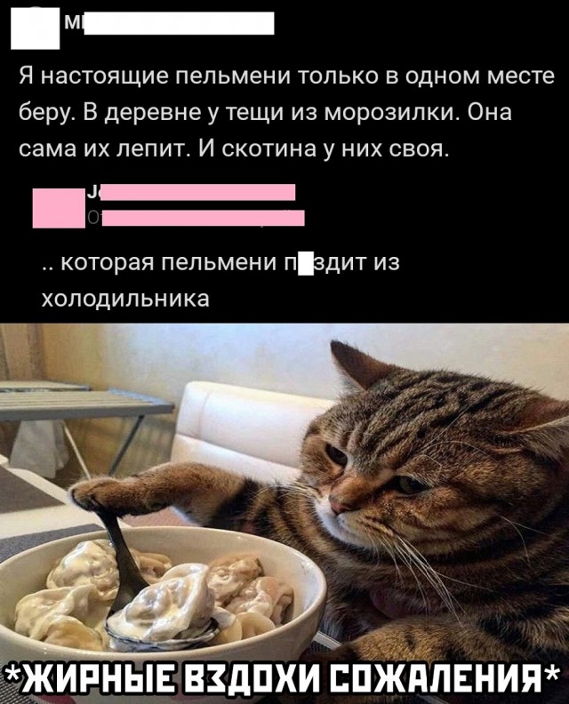 Так себе картинки 24.08.25