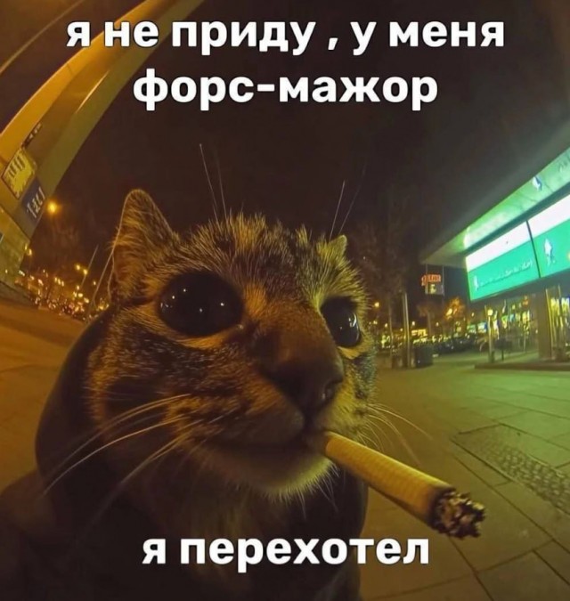 Картинки для деградации 30 (разной степени свежести)