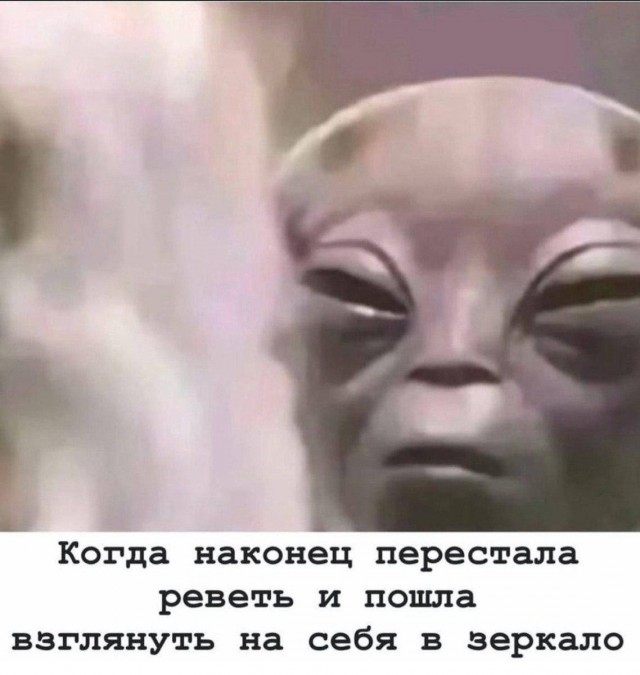 Картинки для деградации 31 (разной стпени свежести)