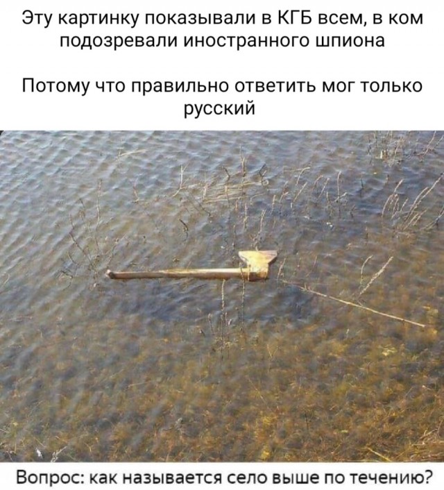 Картинки для деградации 60 (разной степени свежести)