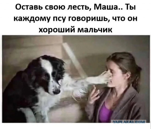 Летели два напильника, летели на боку