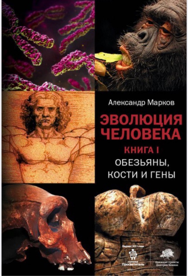 Ответы на "вопросы двоечника"
