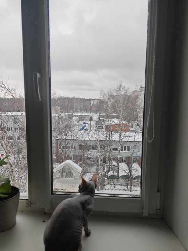 Рассвет в Питере.