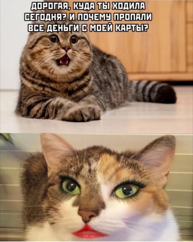 Картиночки, баянчики 05 февраля