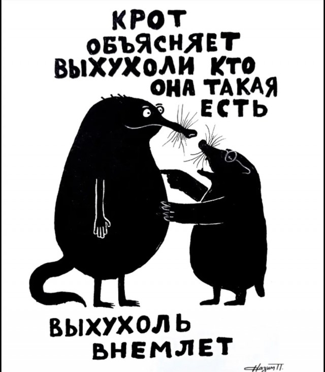 Так себе картинки 08.02.26