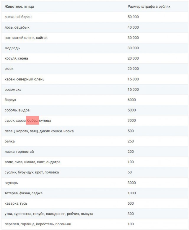 Бобр уже не курва (