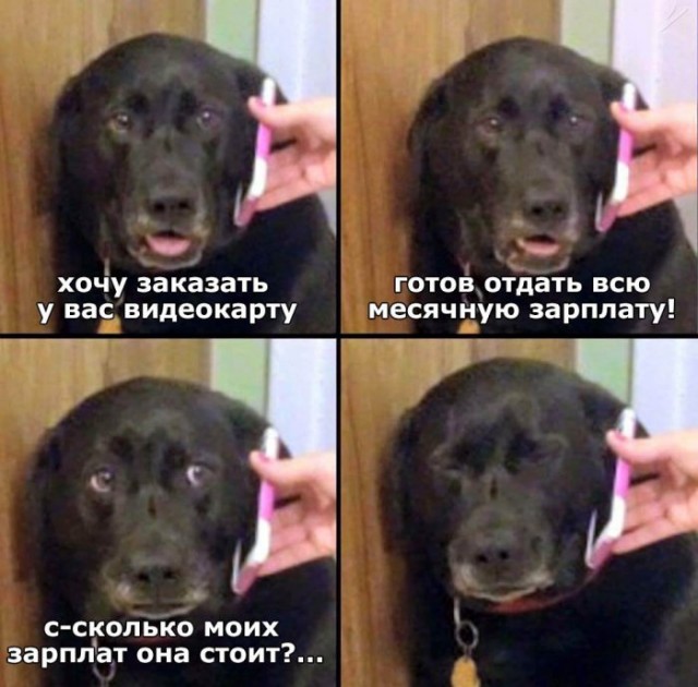 Веселые картинки в маленькую пятницу (04.03)