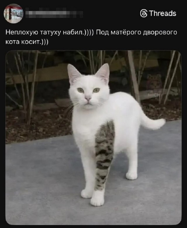 Так себе картинки 12.05.26