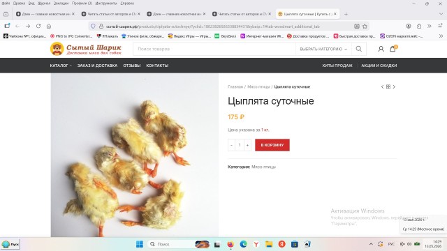 Ужас ужасный.