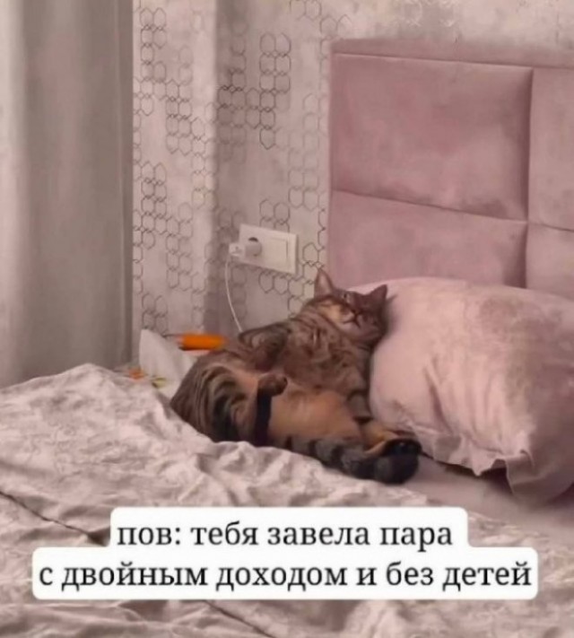 Картиночки, баянчики 23 мая