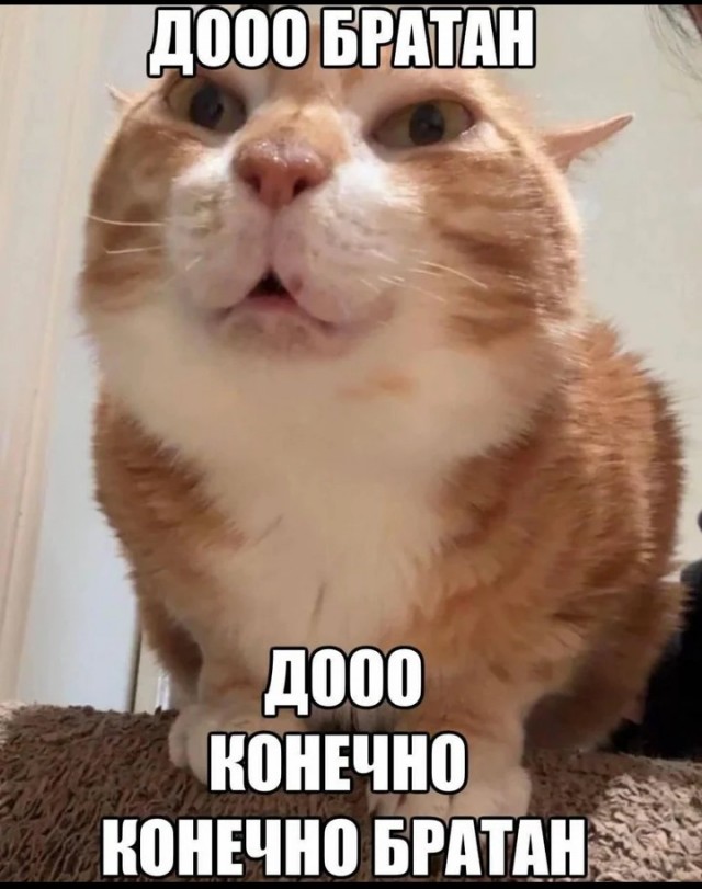Про маринованные арбузы