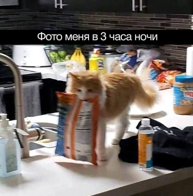 Так себе картинки 21.06.26