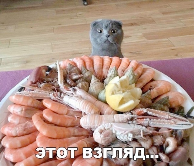 Так себе картинки 14.08.26
