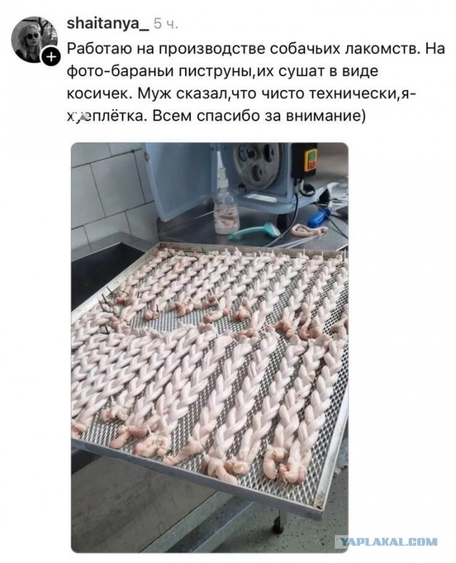 Забавные картинки, шутки из этих ваших интернетов