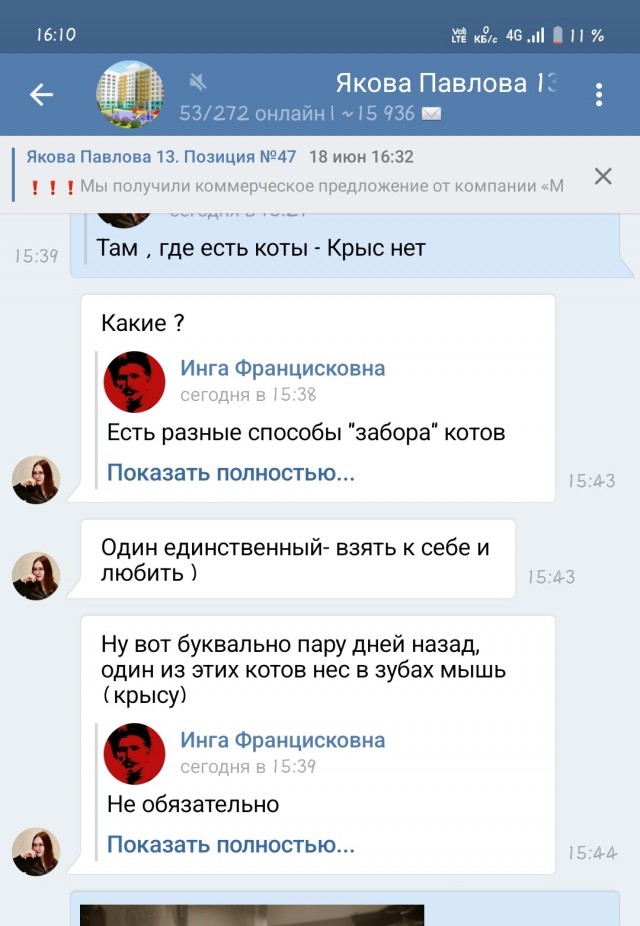 Коты