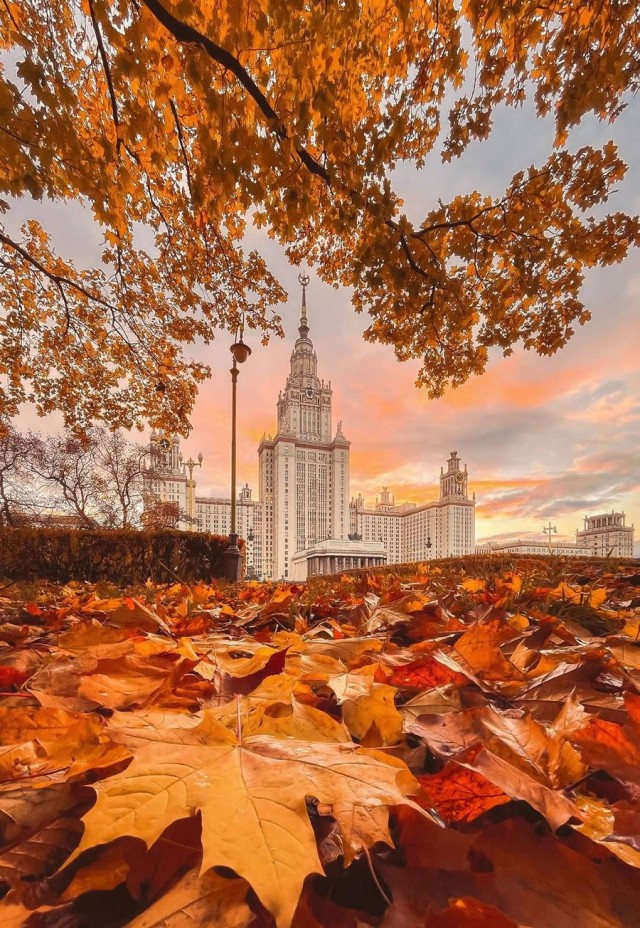 Прикольные и просто красивые картинки 16.10.2026