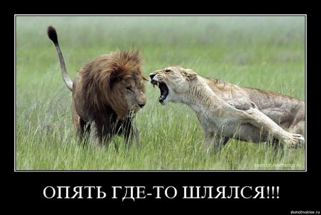 Психанула