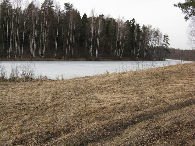 Деревенская Америка