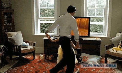 Папы и дочки – трогательные моменты