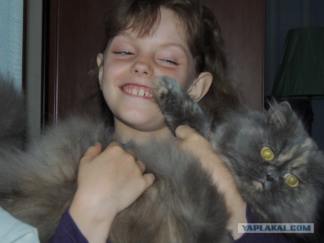 Котовторник 6.05.2014