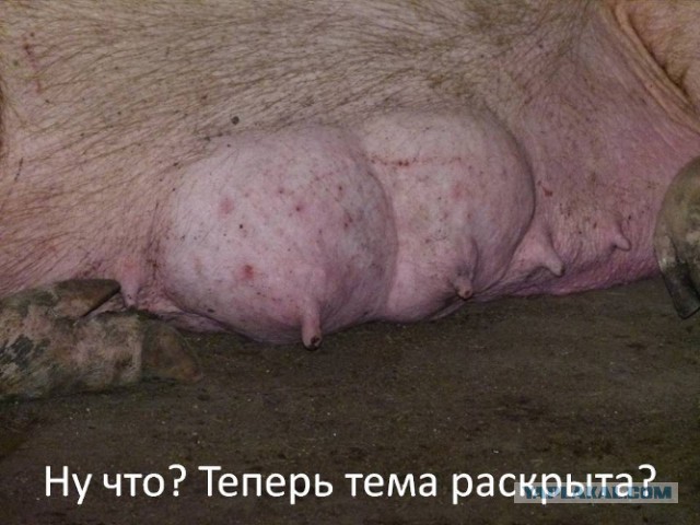 Черный юмор как он есть.