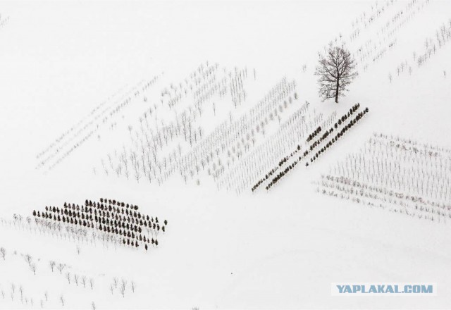 Подборка любопытных фотографий