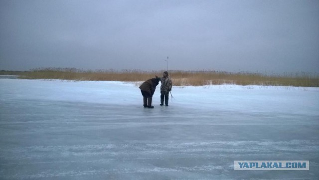 Забабахал щуку по-узбекски