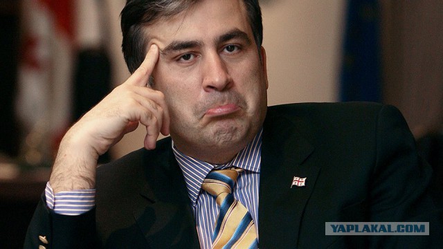 Саакашвили на концерте