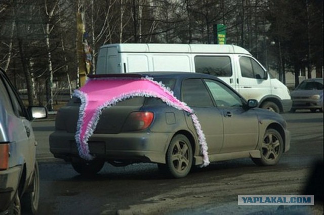 Бессмертная водительница