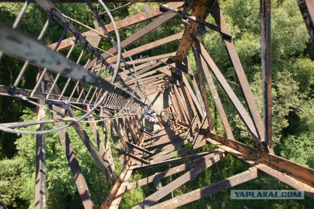 Банный рукожоп