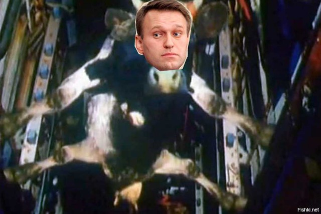 Путин все контролирует.