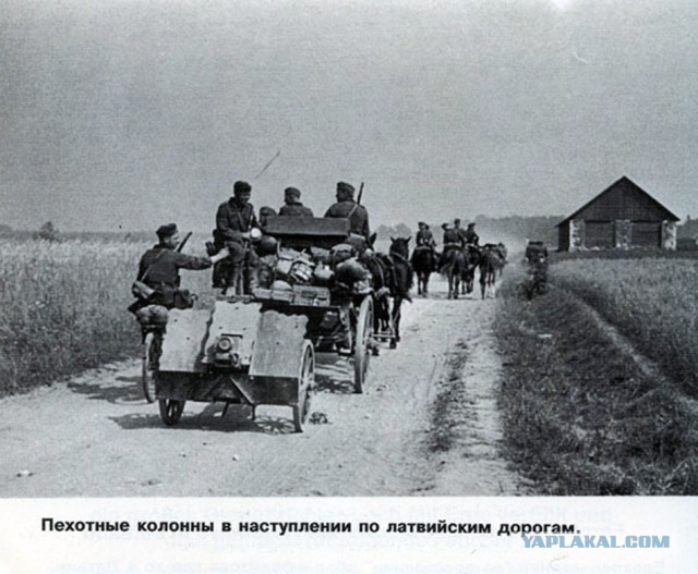 Фото с мест Волховской битвы (Вермахт)