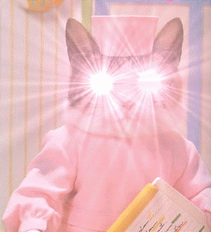 Коты, кошки, котята