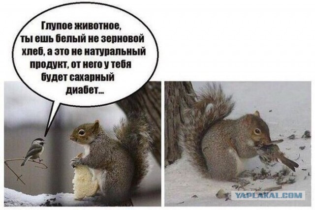 Абсурдный юмор ч.16