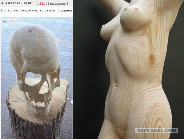 Подборка интересных и веселых картинок