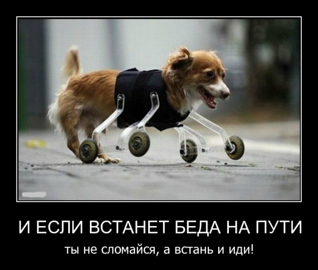 Подборка смешных, не очень и просто красивых фотографий