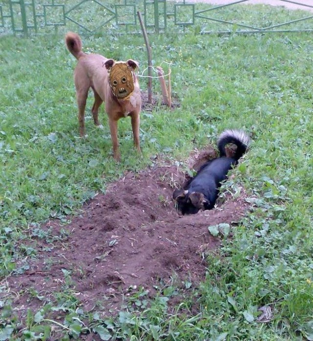 Фотожаба: да здесь где-то недалеко!