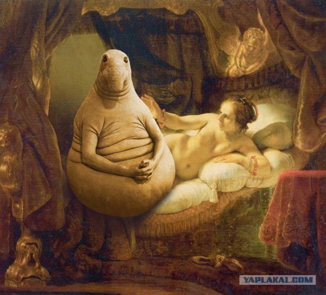 Ждун, спюн и другие