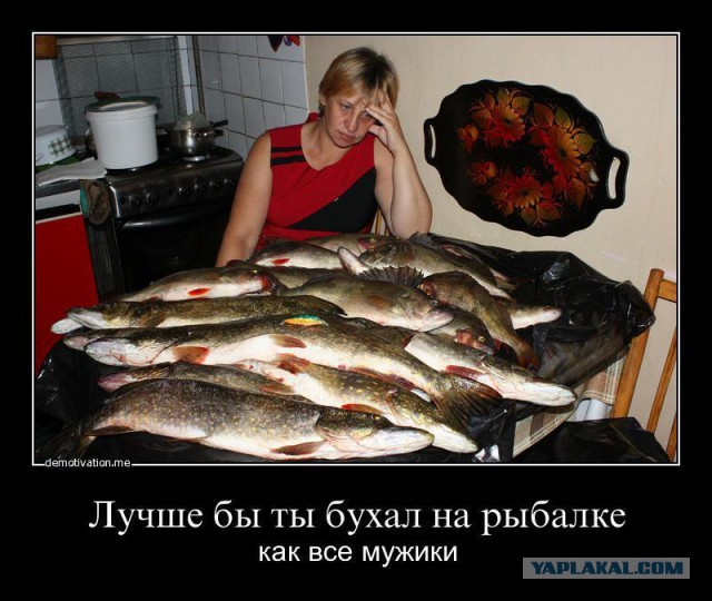 Не совсем светлый и адекватный юмор