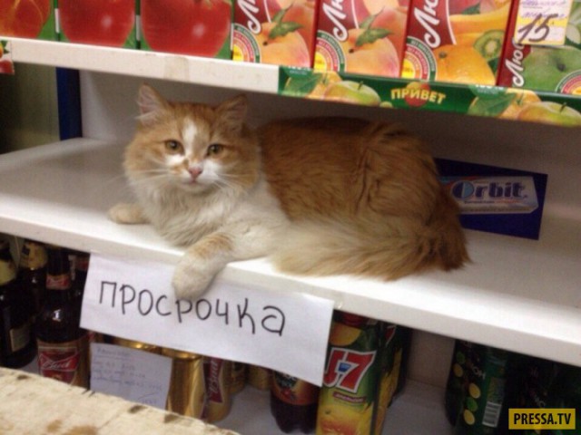 Подборка интересных и веселых картинок