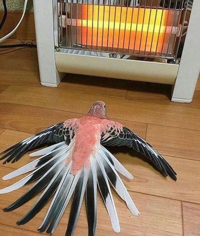 Картинки всякие разные
