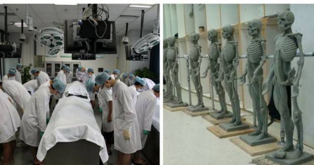 Что будет с вами после смерти, если вы решите завещать свое тело науке?