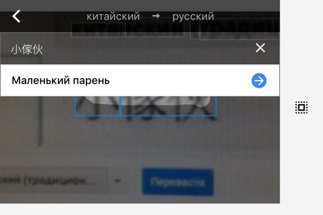 Тупик эволюции