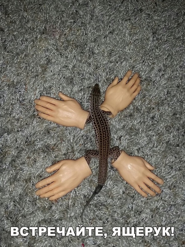 Нестандартный юмор